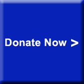 Donate Now